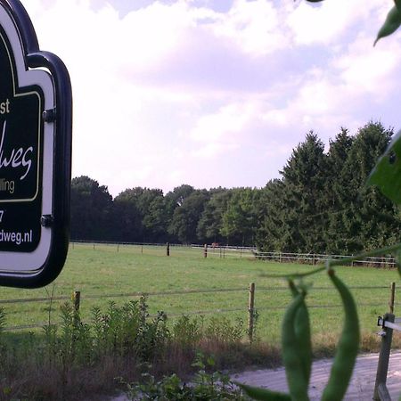 Vakantiehuis "Aan De Zandweg" Roderesch Eksteriør bilde