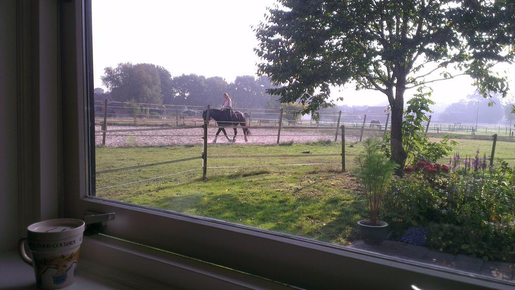 Vakantiehuis "Aan De Zandweg" Roderesch Rom bilde